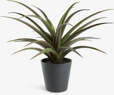 Umjetna biljka FREIDIG Ø36xV32cm