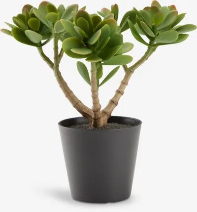 Umjetna biljka JOSTEIN V23cm zelena