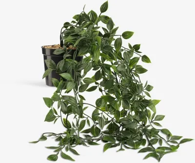 Umjetna biljka OLIVER D62cm viseća