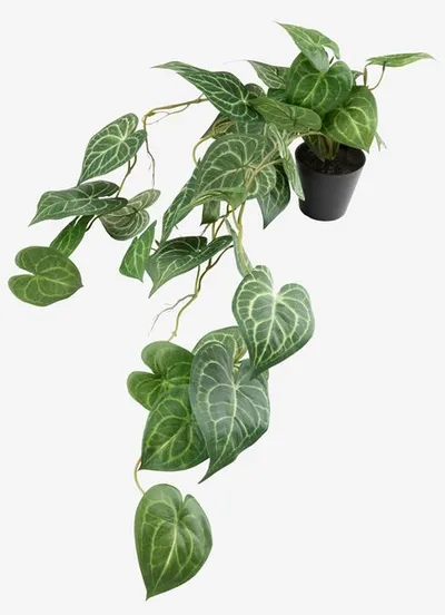 Umjetna biljka KNOPPSVANE V30cm zelena
