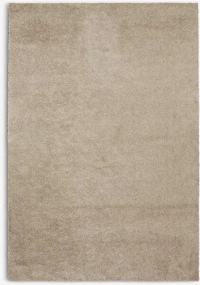 Tepih VILLEPLE 160x230 bež
