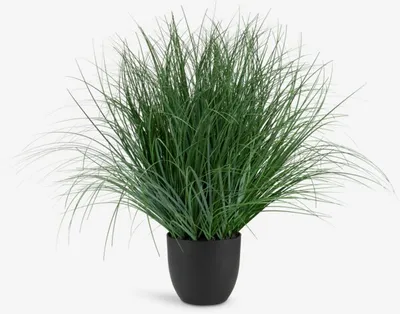 Umjetna biljka HAVELLE V65 cm zelena trava