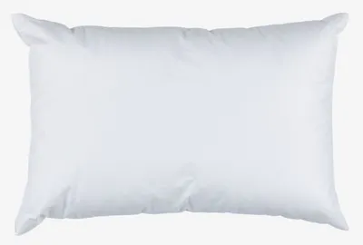 Unutrašnji jastuk Vlakno 40x60 VINTEREG