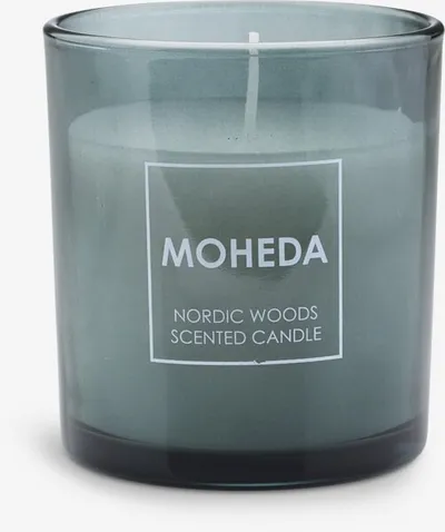 Mirisna svijeća MOHEDA Ø7xV8 cm nordijske šume