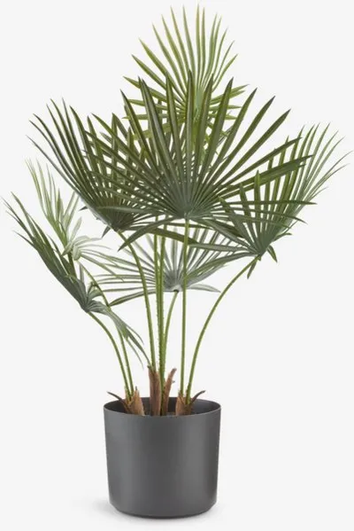 Umjetna biljka JAKOB V73cm