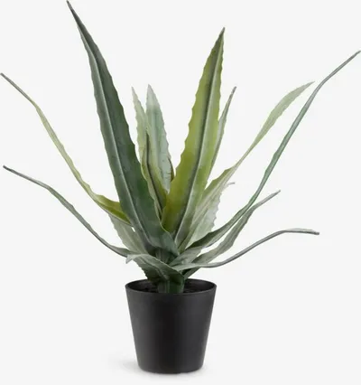 Umjetna biljka CELIUS V39 cm zelena