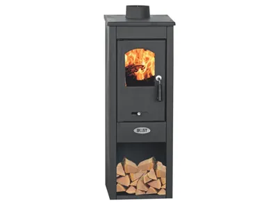 Kamin Blist EKONOMIC LM ppt