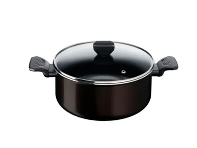 Tefal lonac 24 cm +B5674653 + poklopac