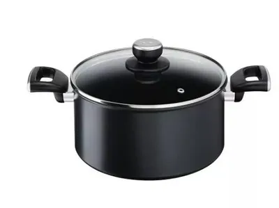 Tefal lonac 24 cm G2554672 + st poklopac