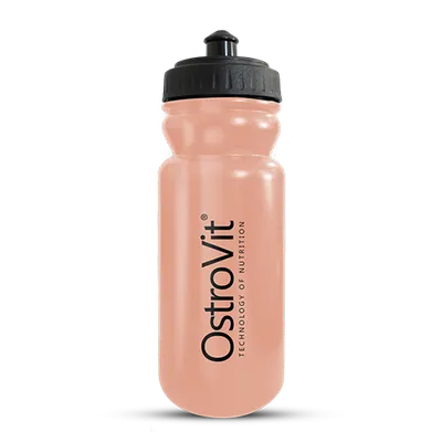 BOCA ZA VODU 600ml