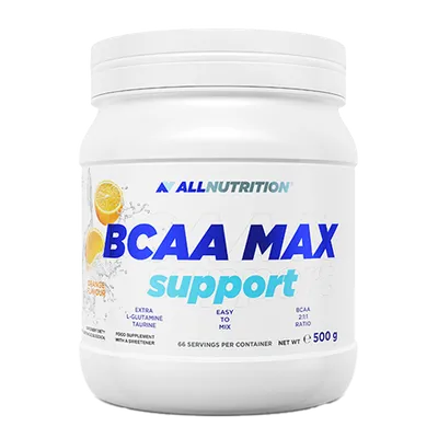 BCAA MAX SUPPORT 500g