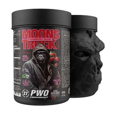 MOONS TRUCK II 510g