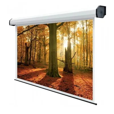 Reflecta Motor WhiteLine GF 500x325 cm, daljinski uključen