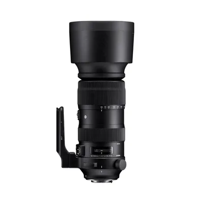 Sigma AF 60-600MM F4.5-6.3 DG OS HSM - Canon