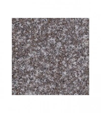 MASTER Ploče granitne 30x60cm G664