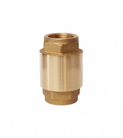 REMER Ventil nepovratni Remer 2" 38320