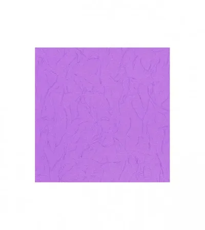 MARBURG Tapeta 1005x53cm 50749