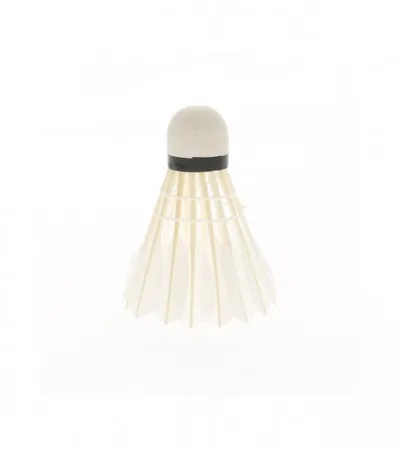 RICHMORAL Loptica za badminton 6/1 F6-3