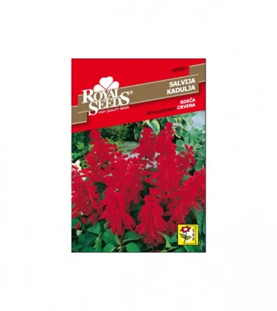 ROYAL SEEDS Sjeme kadulja crvena 208-02607