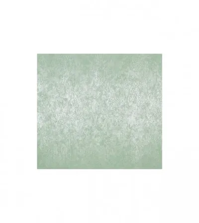 MARBURG Tapeta 1005x53cm 55706