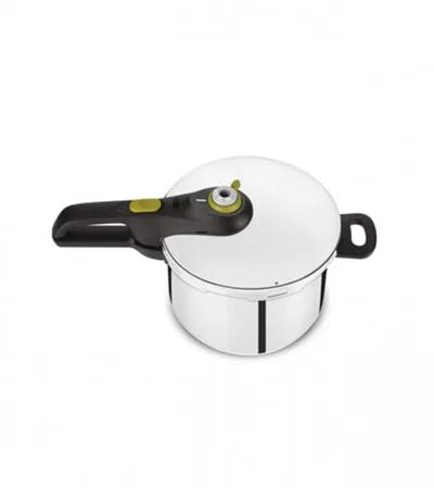 TEFAL Ekspres lonac 6l P2530741