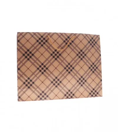 MASTER Kesa papirna 50x38x12cm 1216553