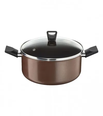 TEFAL Šerpa sa poklopcem TOBACCO 24 cm