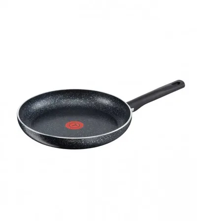 TEFAL Tava Brut 30cm C2640752