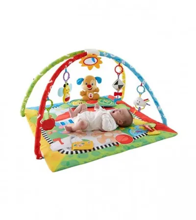 FISHER PRICE Igraonica za bebe FFX82-9C56-05411