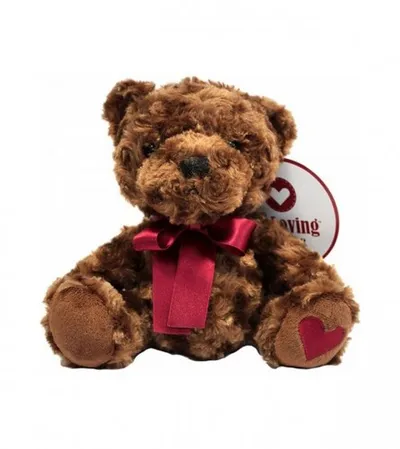 MASTER Igračka plišana smeđi Teddy 21 cm 167034
