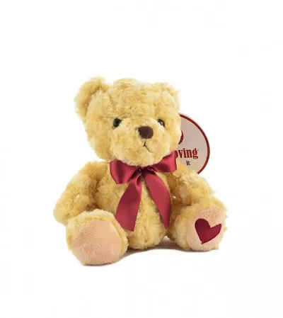 MASTER Igračka plišana Teddy 21cm 167036