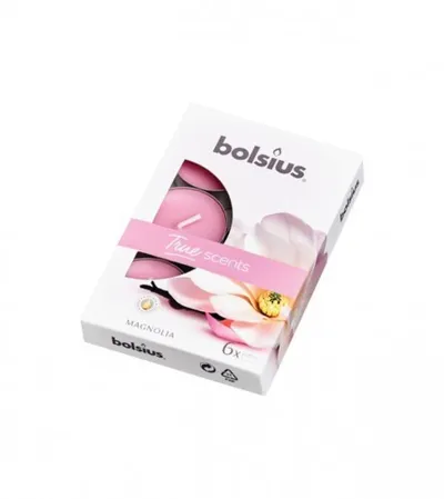 BOLSIUS Svijeće lućice 6/1 Bolsius