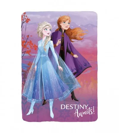 FROZEN Deka 100x140cm B001FRO