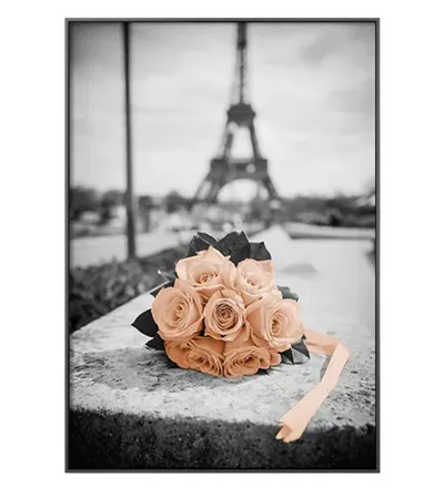 MASTER Slika Canvas 40x60x3,5cm Pariz