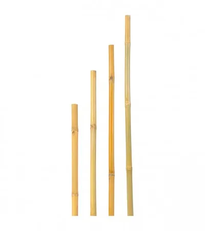VERDEMAX Štap od bambusa 235cm V006678