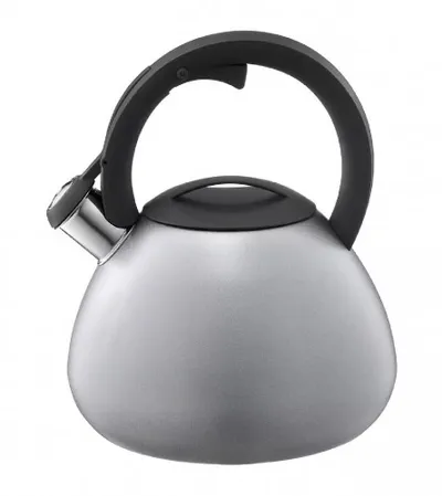 AMBITION Čajnik 2,6l 50871 srebreni