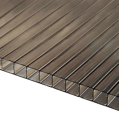 GUTTA Polikarbonat 1050x2000x10mm UV1 2811993 bronza