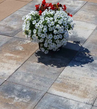 SEMMERLOCK Ploča betonska ELEGANT 60x30x3,8cm Lava Siva 61828734