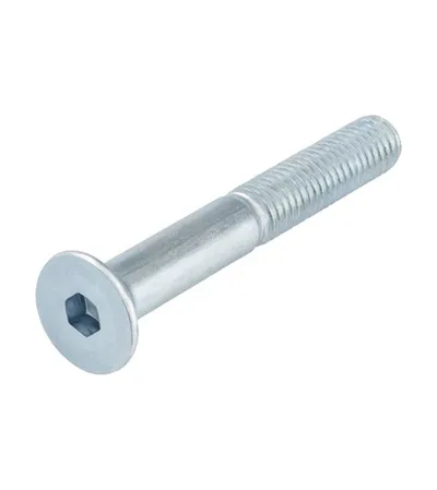 PENNY Vijak Imbus M10x70mm 10/1