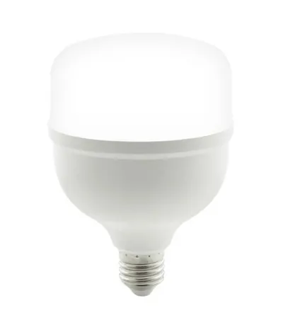 VITO Sijalica LED 30W 6400K E27 T100 Supernova 1519510