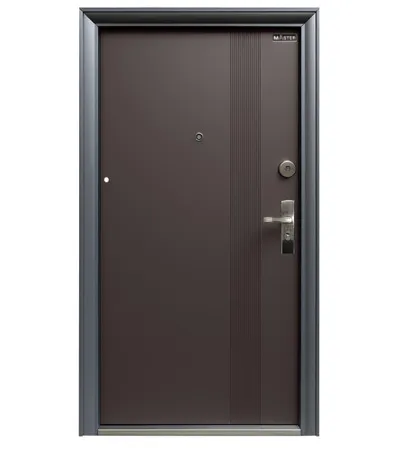 MASTER Vrata metalna-L-QSD-878 205x96x7cmx smeđa