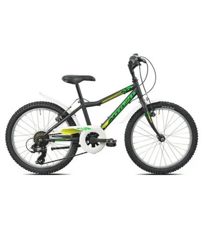 MASTER Biciklo ESPERIA MTB 20" 6V 259200N crni