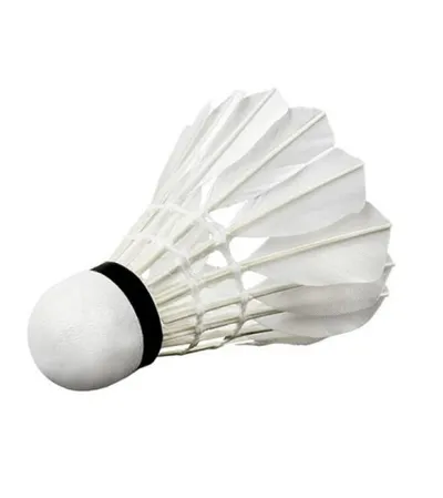 MASTER Set loptica za badminton sa perjem 6/1 251916 bijele