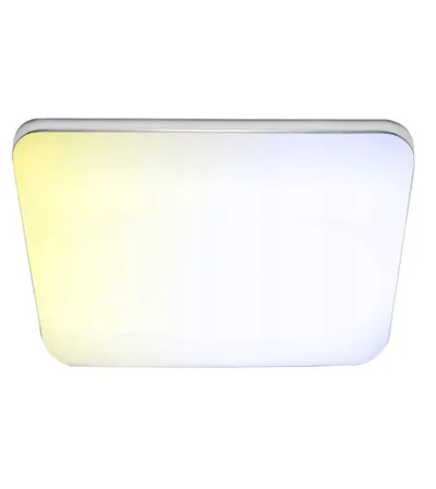 MASTER Lampa LED nadgradna sa daljinskim 42W 49x49cm