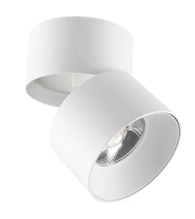 VITO Lampa LED spot 20W 4000K LAZY-20 2102930 bijela