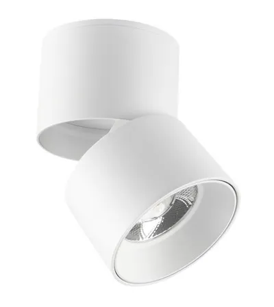 VITO Lampa LED spot 10W 4000K LAZY-10 2102890 bijela