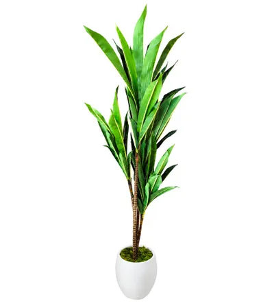 MASTER Cvijeće ukrasno umjetno 100cm Dracena 754-76-4