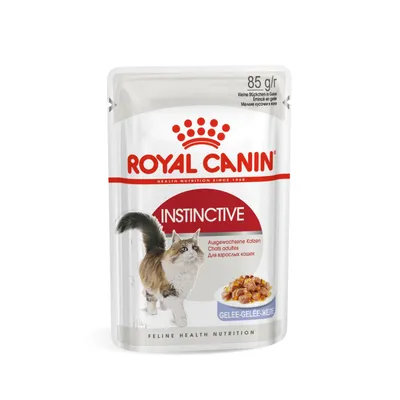 Royal Canin Instictive in Jelly hrana za mačke u želeu 85 gr