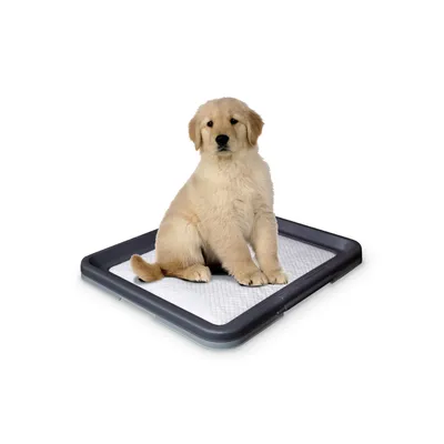 Nobby Doggy Trainer podloga za pselene za pse L 62.5x48x3.8 cm