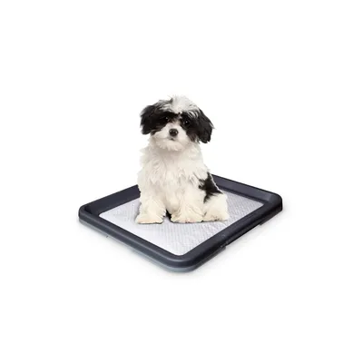 Nobby Doggy Trainer podloga za pselene za pse S 48x41x3.5 cm